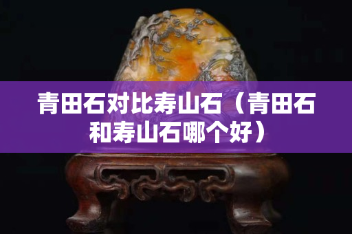 青田石对比寿山石（青田石和寿山石哪个好）