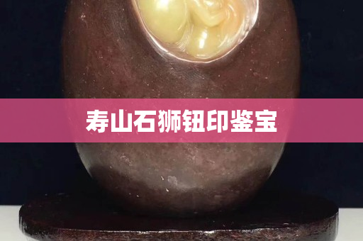 寿山石狮钮印鉴宝