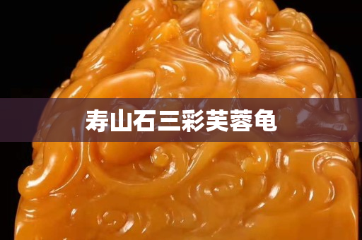寿山石三彩芙蓉龟