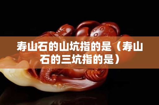 寿山石的山坑指的是（寿山石的三坑指的是）