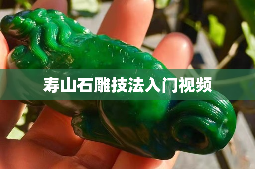 寿山石雕技法入门视频