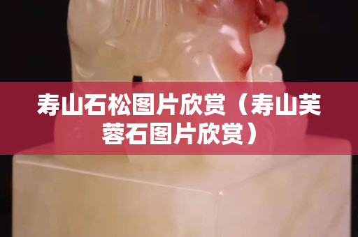 寿山石松图片欣赏（寿山芙蓉石图片欣赏）