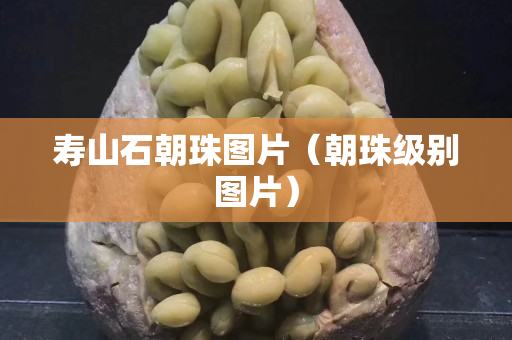 寿山石朝珠图片（朝珠级别图片）