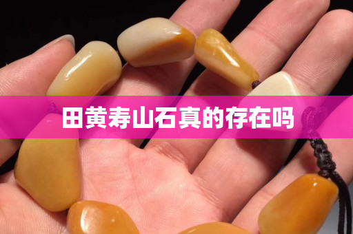 田黄寿山石真的存在吗