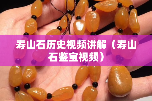 寿山石历史视频讲解（寿山石鉴宝视频）