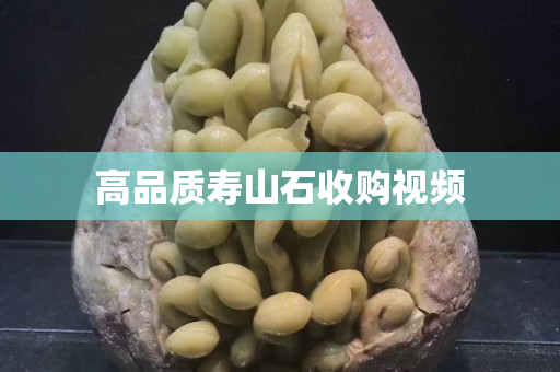 高品质寿山石收购视频