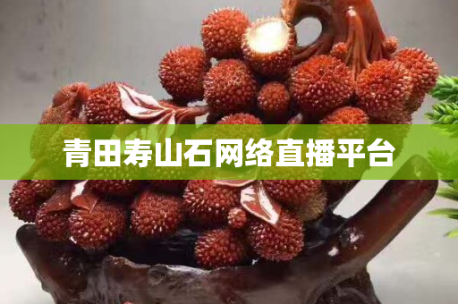 青田寿山石网络直播平台