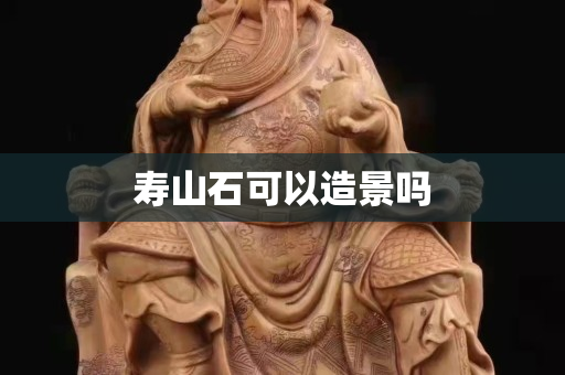 寿山石可以造景吗