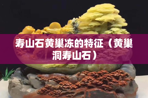 寿山石黄巢冻的特征（黄巢洞寿山石）