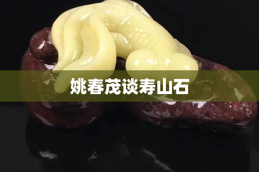 姚春茂谈寿山石