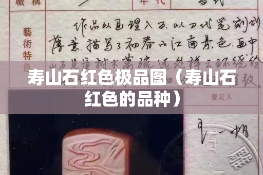 寿山石红色极品图（寿山石红色的品种）