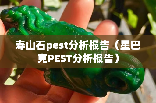 寿山石pest分析报告（星巴克PEST分析报告）