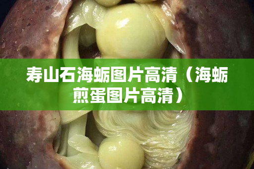 寿山石海蛎图片高清（海蛎煎蛋图片高清）