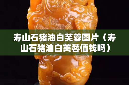 寿山石猪油白芙蓉图片（寿山石猪油白芙蓉值钱吗）