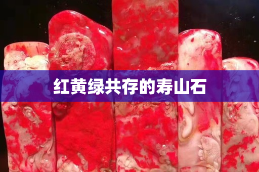 红黄绿共存的寿山石