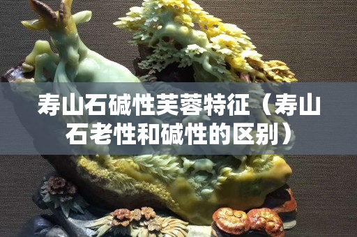 寿山石碱性芙蓉特征（寿山石老性和碱性的区别）