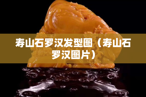 寿山石罗汉发型图（寿山石罗汉图片）