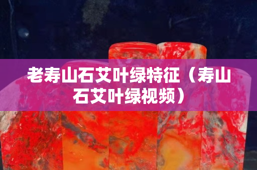 老寿山石艾叶绿特征（寿山石艾叶绿视频）
