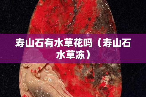 寿山石有水草花吗（寿山石水草冻）