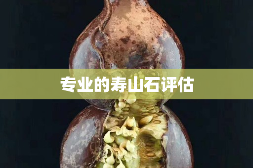 专业的寿山石评估
