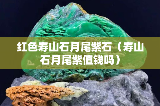 红色寿山石月尾紫石（寿山石月尾紫值钱吗）