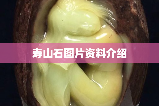 寿山石图片资料介绍