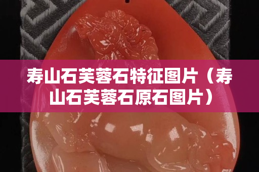 寿山石芙蓉石特征图片（寿山石芙蓉石原石图片）