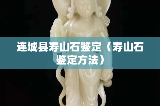 连城县寿山石鉴定（寿山石鉴定方法）