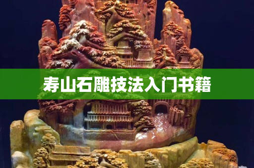 寿山石雕技法入门书籍