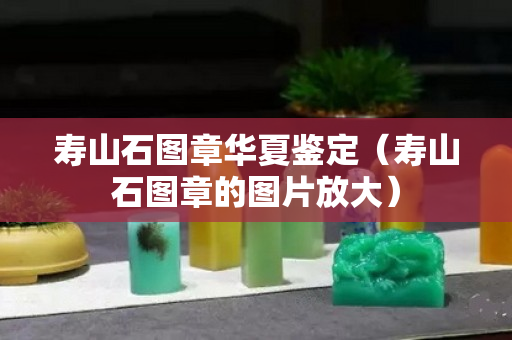 寿山石图章华夏鉴定（寿山石图章的图片放大）