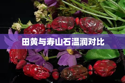 田黄与寿山石温润对比