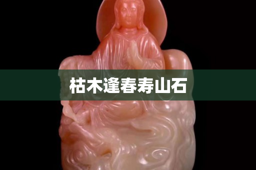 枯木逢春寿山石