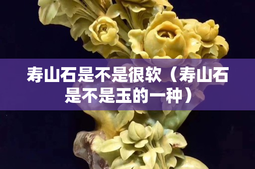 寿山石是不是很软（寿山石是不是玉的一种）