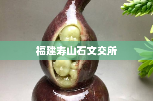 福建寿山石文交所