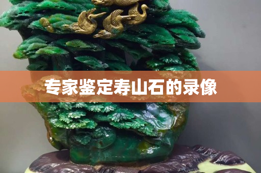 专家鉴定寿山石的录像