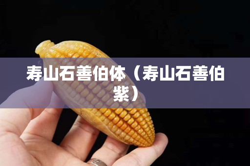 寿山石善伯体（寿山石善伯紫）