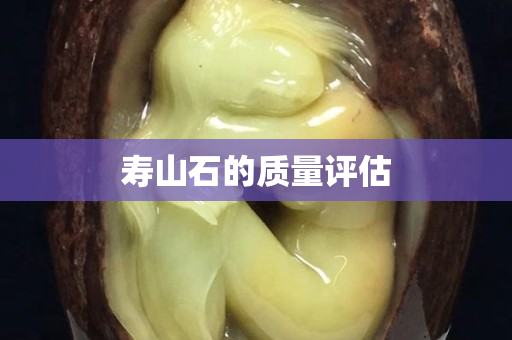 寿山石的质量评估