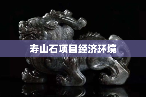 寿山石项目经济环境