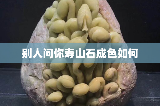 别人问你寿山石成色如何