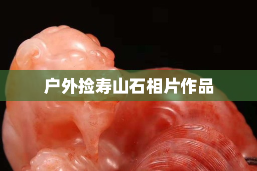 户外捡寿山石相片作品