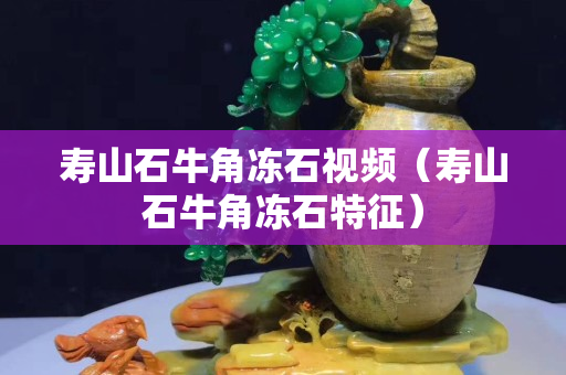 寿山石牛角冻石视频（寿山石牛角冻石特征）