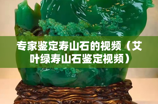 专家鉴定寿山石的视频（艾叶绿寿山石鉴定视频）