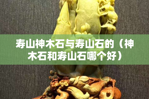 寿山神木石与寿山石的（神木石和寿山石哪个好）