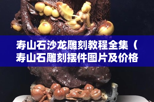 寿山石沙龙雕刻教程全集（寿山石雕刻摆件图片及价格）