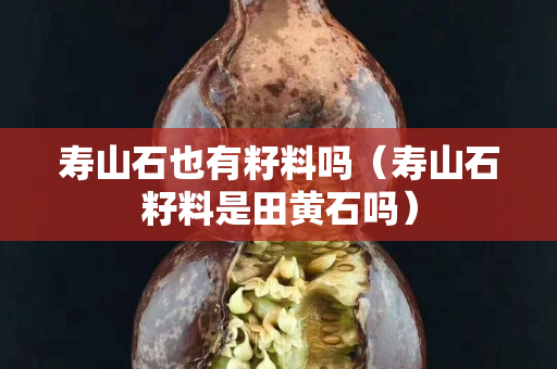 寿山石也有籽料吗（寿山石籽料是田黄石吗）