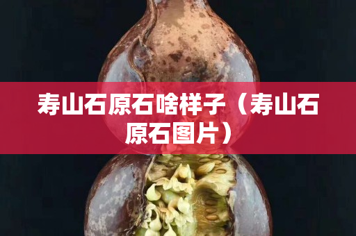 寿山石原石啥样子（寿山石原石图片）
