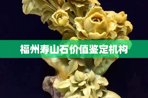 福州寿山石价值鉴定机构