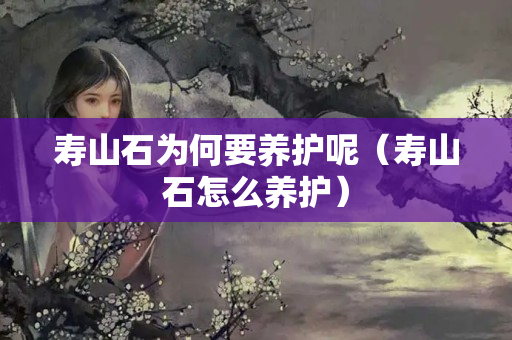 寿山石为何要养护呢（寿山石怎么养护）