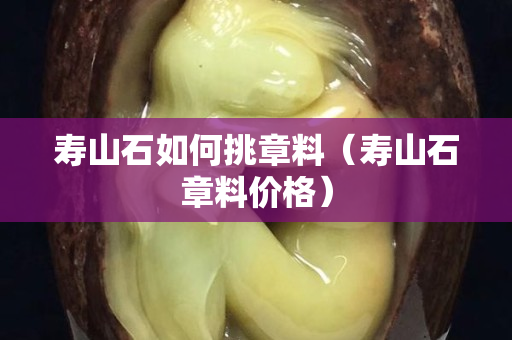 寿山石如何挑章料（寿山石章料价格）