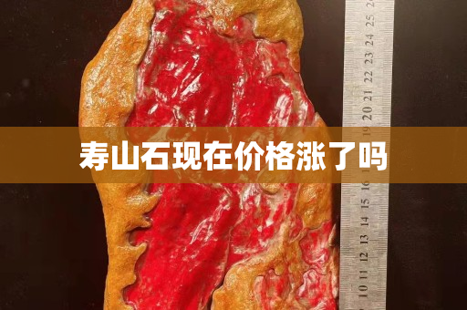 寿山石现在价格涨了吗
